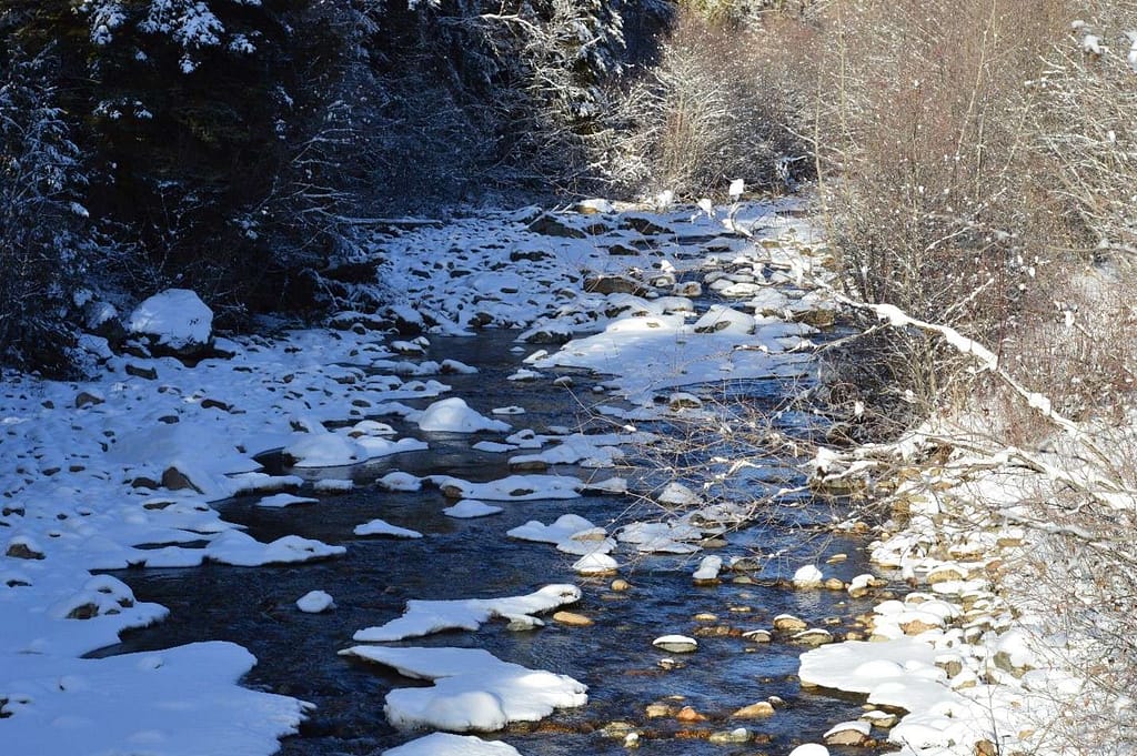 Picture of a frozen creek bed